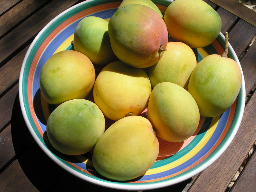 Swedish large mangos michelle with bbc