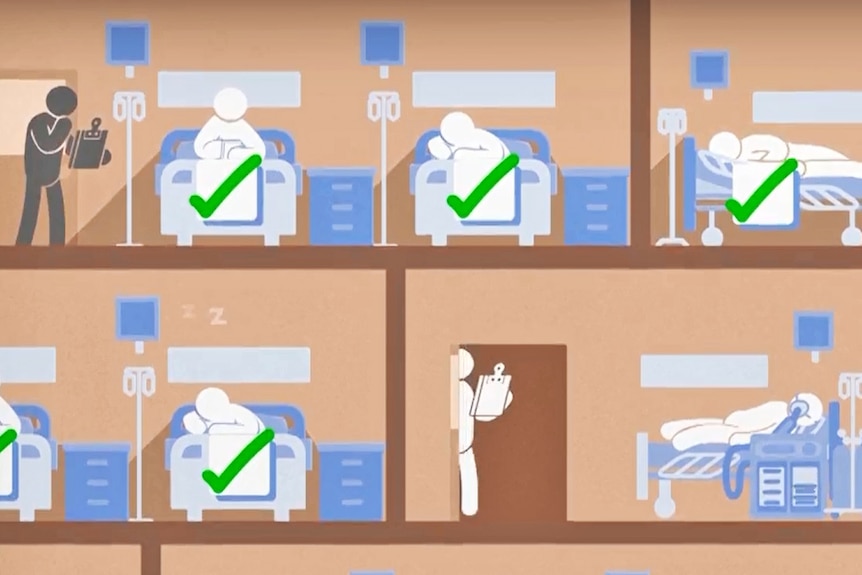 audit patient needs graphic.