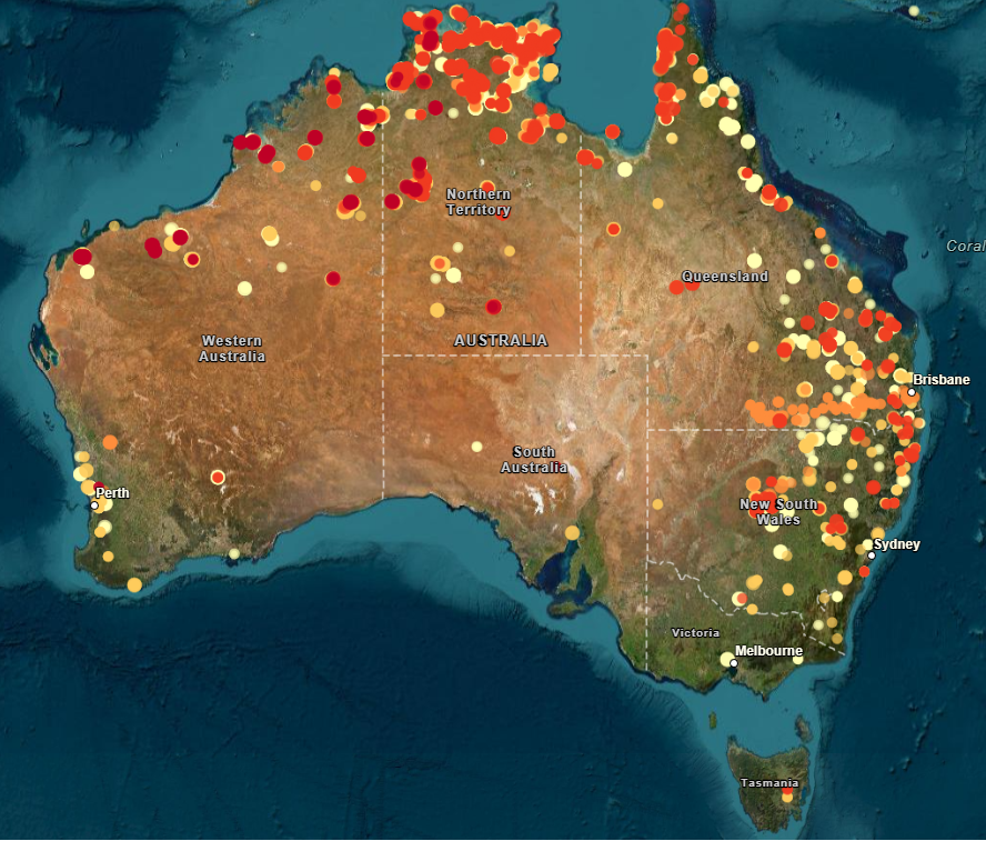 A screenshot from the Digital Earth Australia platform
