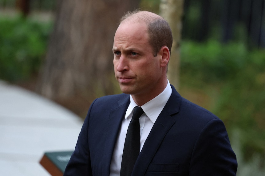 Prince William looking concerned