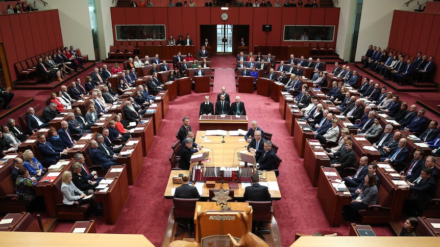 Politicians crammed into seats throughout the red Senate chamber