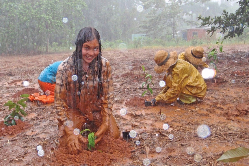 People kneel in the mud, planting trees in the rain.