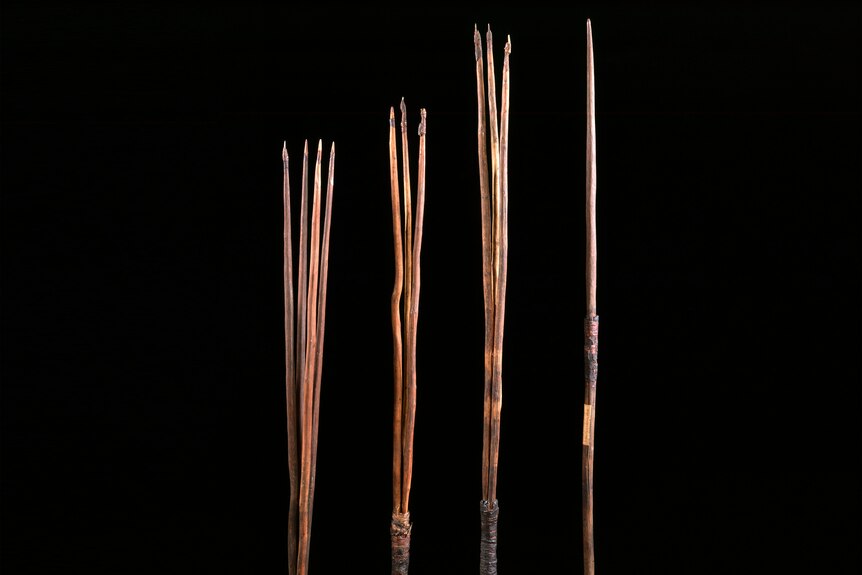 Four thin, old wooden spears with pointed ends