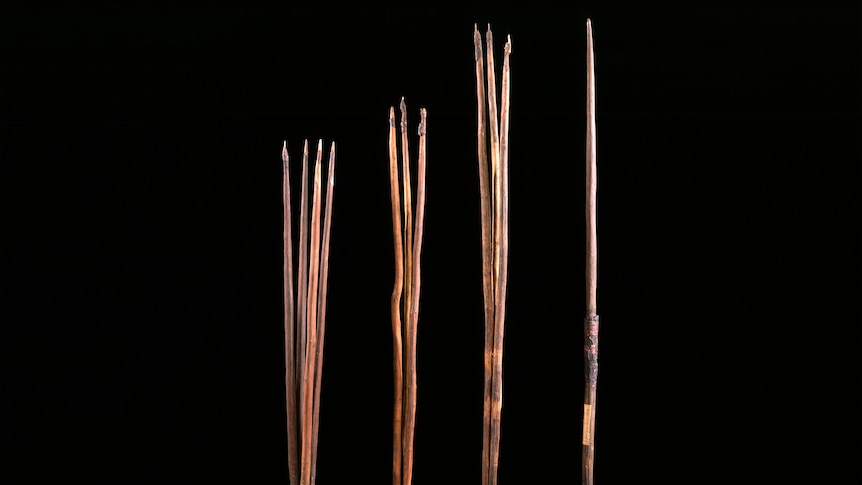 Four thin, old wooden spears with pointed ends