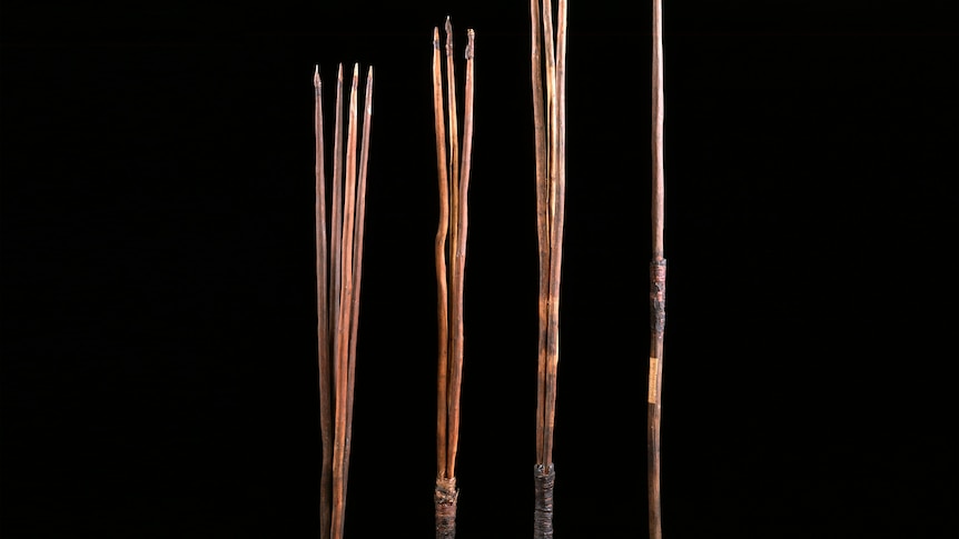 first nations spears sit on a black background