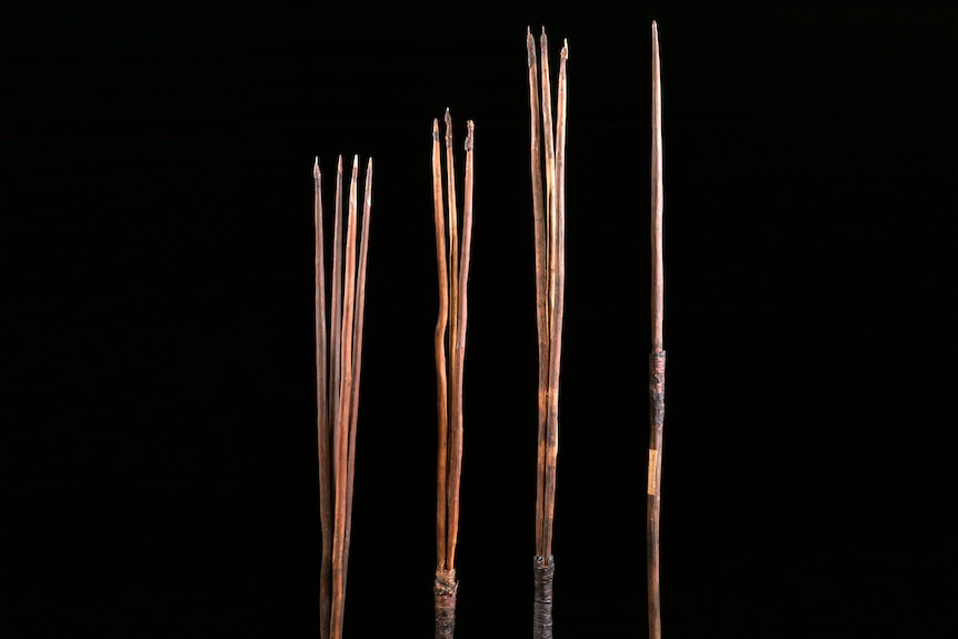 Four thin, old wooden spears with pointed ends