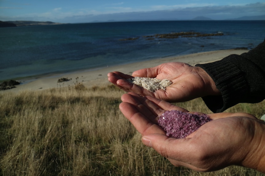 A person, face unseen, with two handfuls of sea salt. The ocean is in the background.