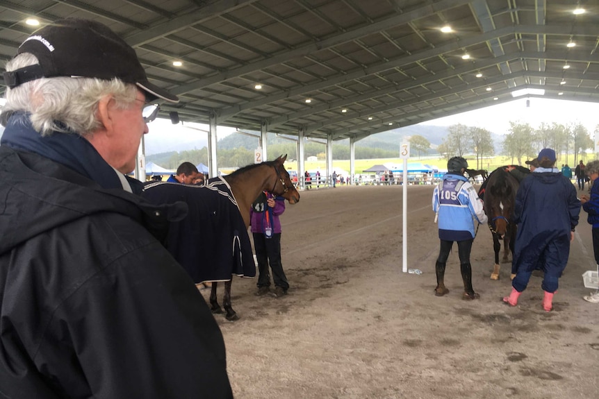 Head veterinarian Brian Sheehan looks over horses and other vets, checking the horses health.