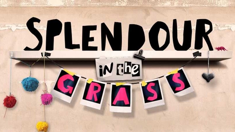 The 2017 logo for Splendour in the Grass