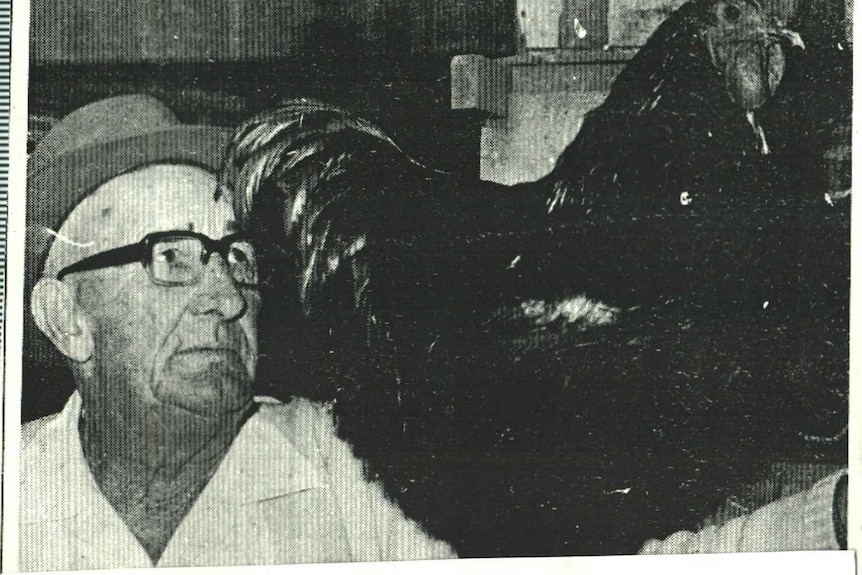 Lachie's great grandfather Bob Habgood with a chicken.