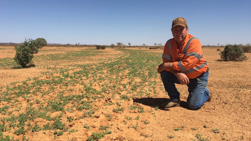 Barry Turner is kneeling over an area of his pastoral land where he implemented the emu strategy