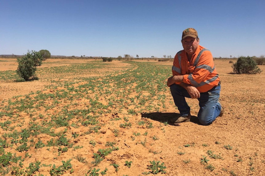Barry Turner is kneeling over an area of his pastoral land where he implemented the emu strategy