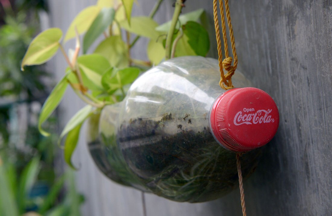 Coca-Cola and the origins of the curvy Coke bottle - ABC listen