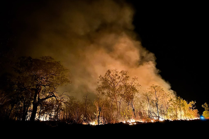 A fire burns trees and smoke billows at night at a station in the NT. 