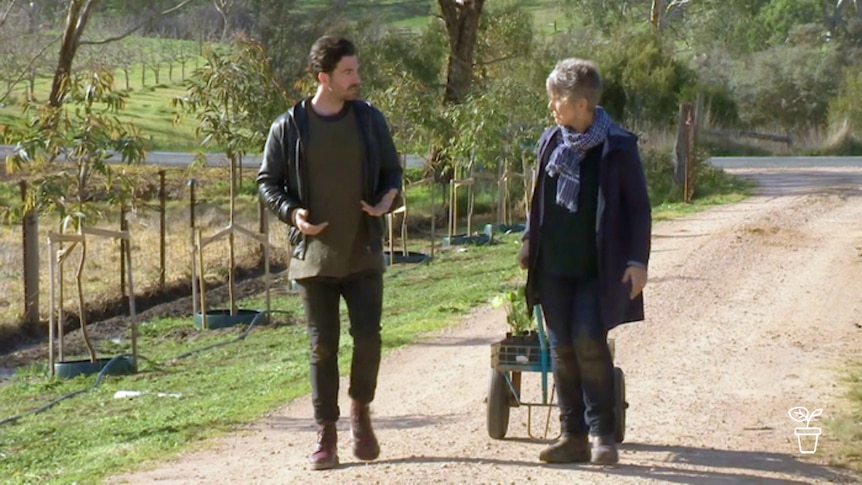 Man and woman walking along path talking and woman pulling cart