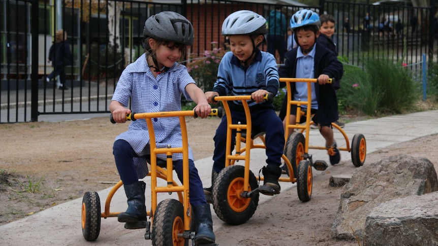 Waimea Heights Primary School Kindergarten students playing on tricycles June 2016