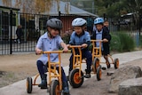 Waimea Heights Primary School Kindergarten students playing on tricycles June 2016