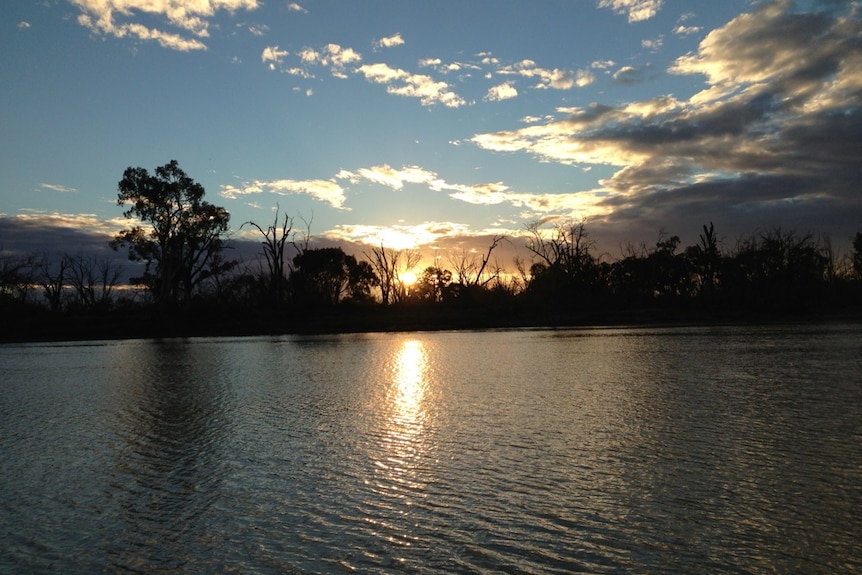 The Murray River at sunrise, with gum trees silhouetted on the riverbank on the other side of the water.