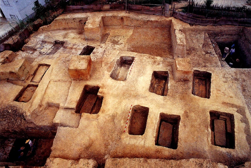 A series of rectangle graves cut into the clay-coloured ground at the site of an archaeological dig.