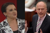 Jacqui Lambie takes exception to a Liberal attack ad