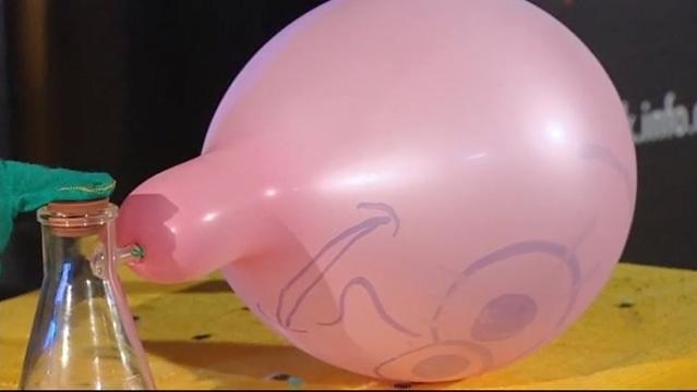 Inflated balloon lays on table