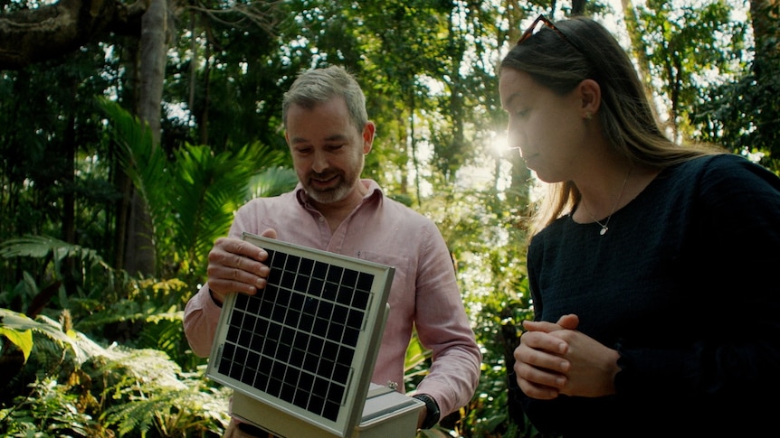 Two researchers look at a computer in a forest.