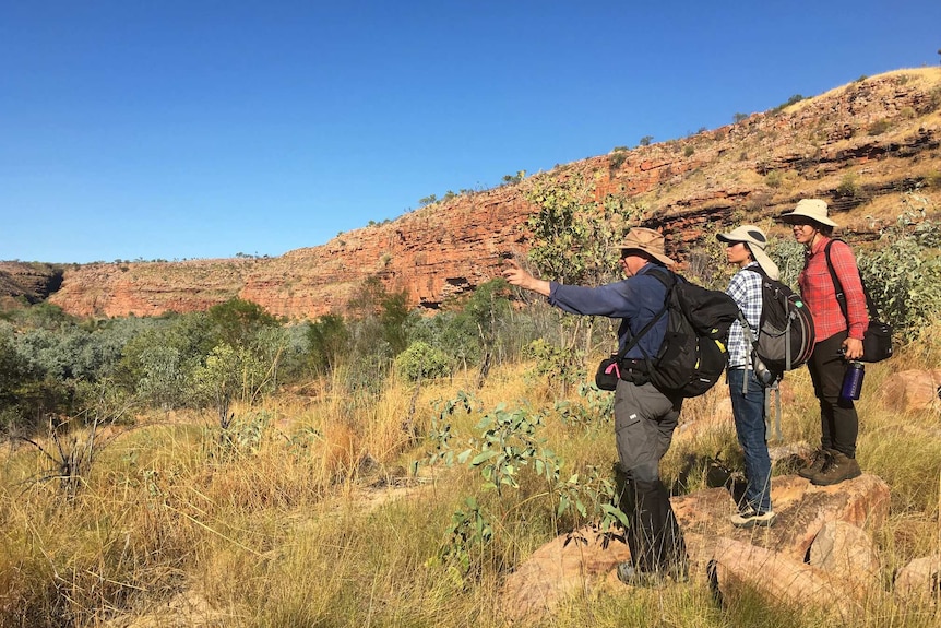 Three archaeologists carrying backpacks look out over bushland.