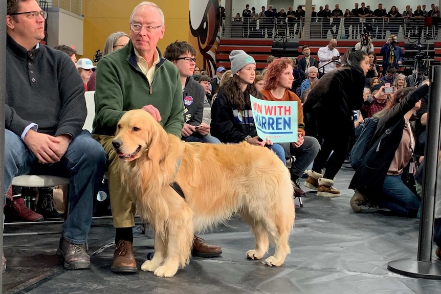 A golden retriever stands at a campaign event in Iowa