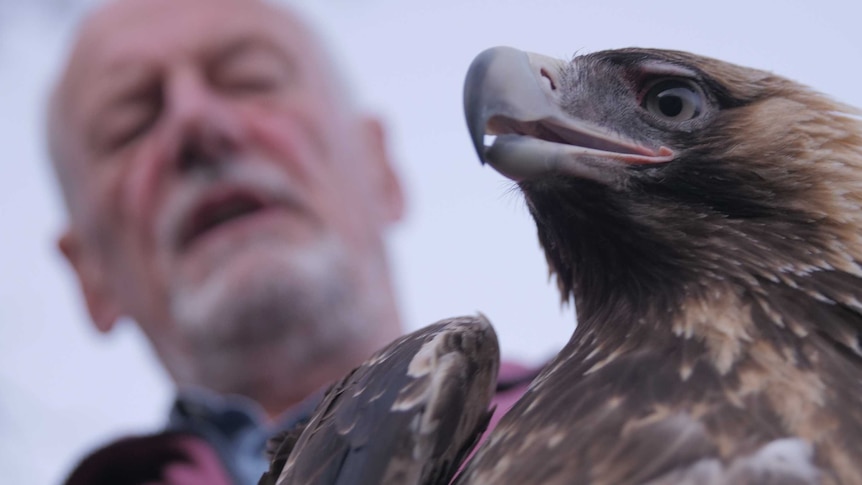 A man holds an eagle