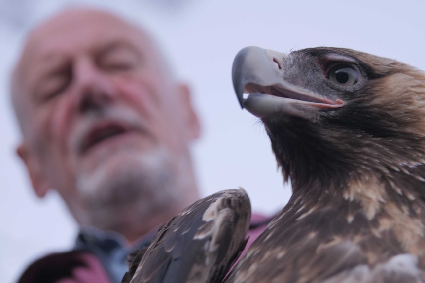 A man holds an eagle