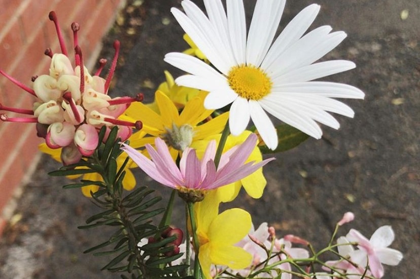 A woman's hand holds a little posy of flowers