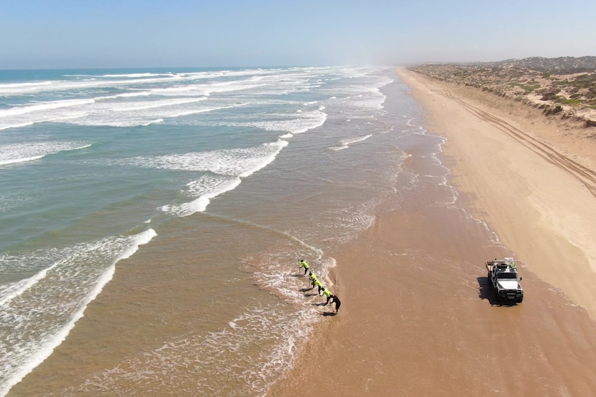 A drone photo of a beach with a four-wheel drive and people on it