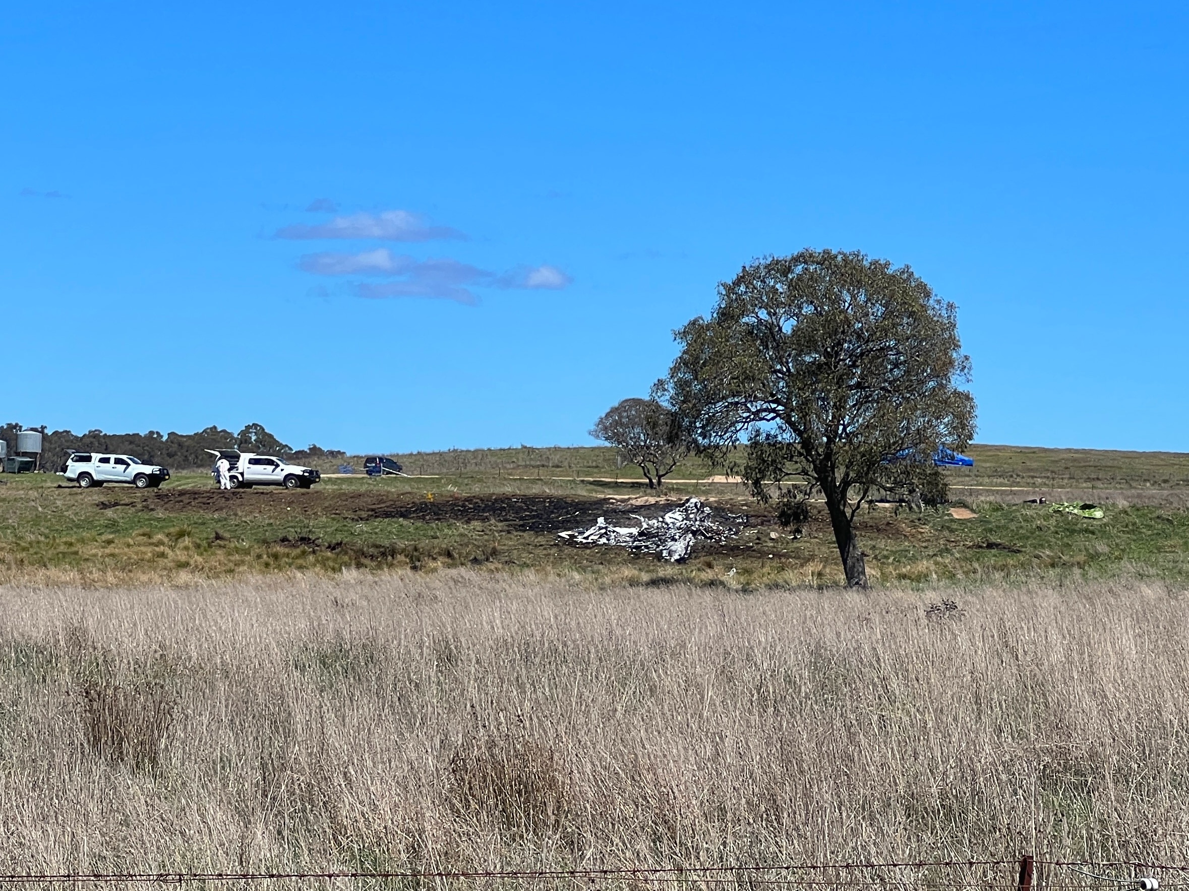 Burnt debris is scattered on a bare field near a large gum tree.