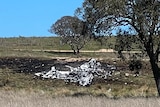 Burnt debris is scattered on a bare field near a large gum tree.