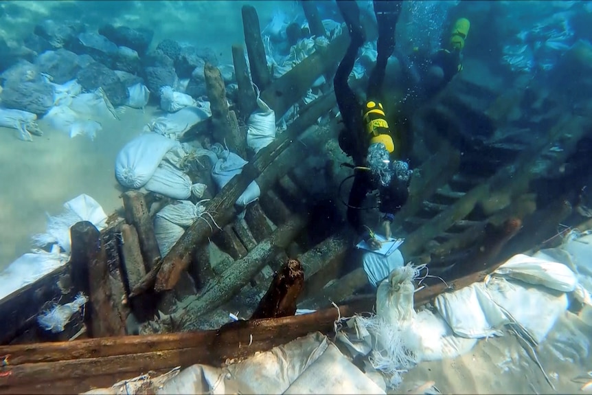 Un buzo toma notas sobre un caso submarino con un naufragio de madera a su alrededor.