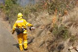 A Tasmanian firefighter backburning