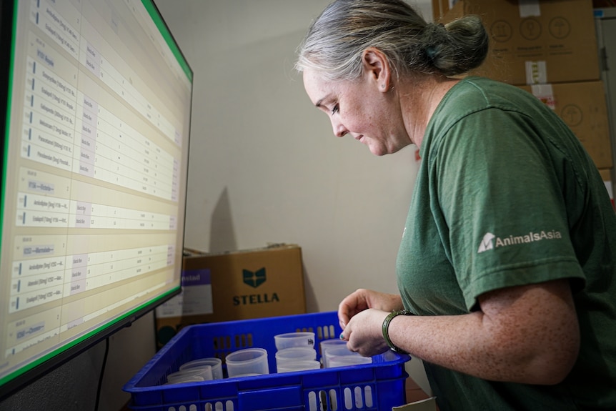 Female vet in a green shirt sorting medication doses in a blue plastic container.