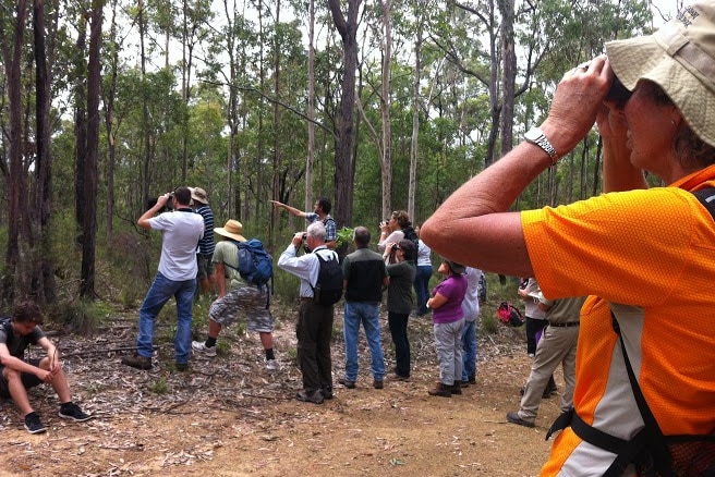 Birdwatching group.