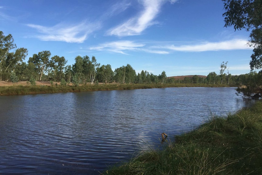 A large river flowing in cattle country.