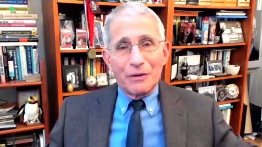 Dr Anthony Fauci in a webcam shot in front of shelves stacked with books, medals, photographs and a stuffed King Penguin toy.