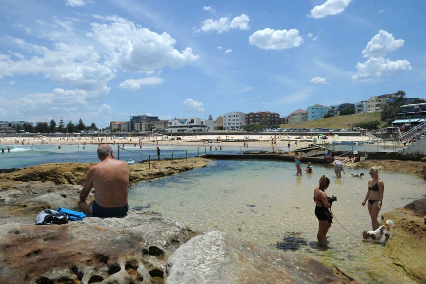 People enjoy the water at Bondi Beach in Sydney.