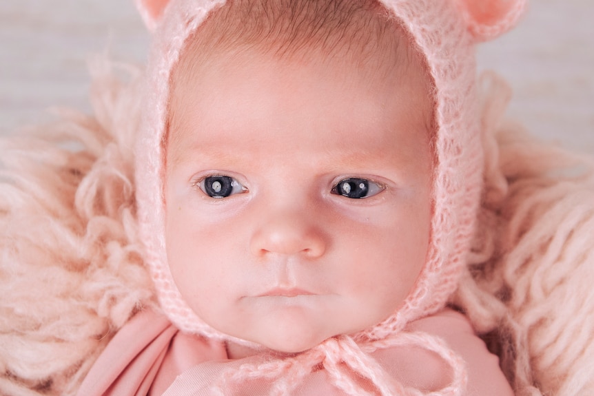 A close up of young baby Daisy wearing a wooly pink hat with ears on it.