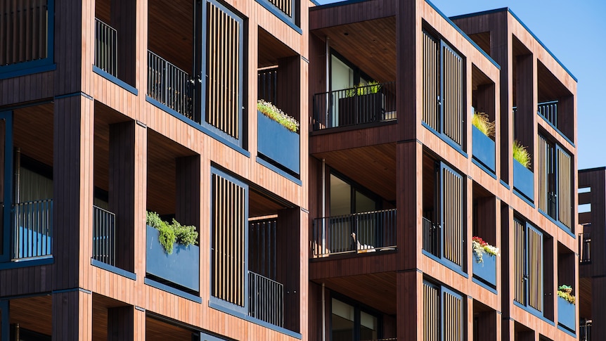 low rise apartment building, stylish box shaped apartments, wood-clad, black trim, greenery on balconies