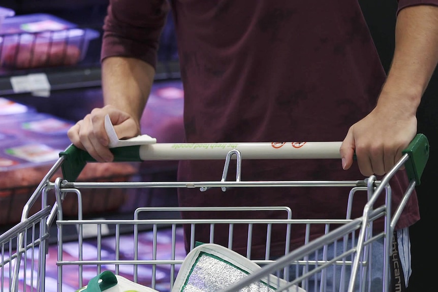 Hands on the handle of a supermarket trolley