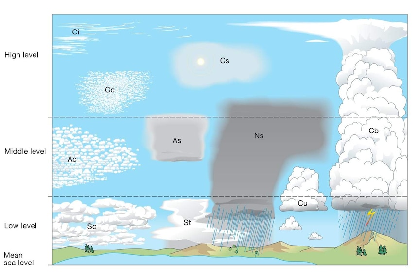 Diagram of the different types of clouds.