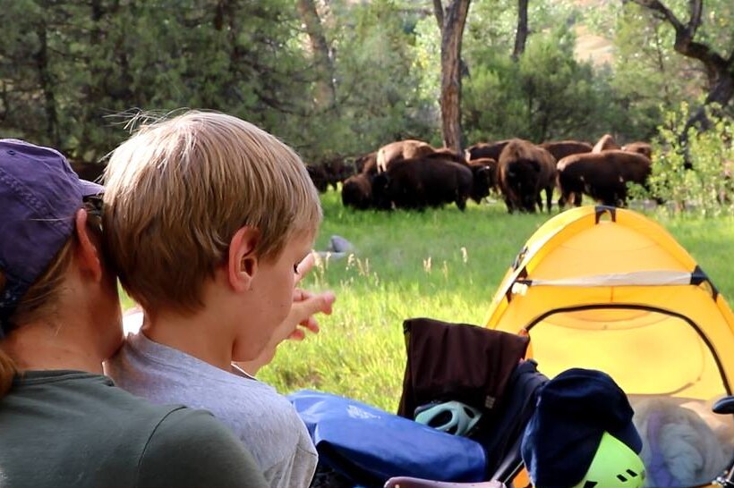Fiona Saunders with her son Patch looking at a herd of bison near a yellow tent