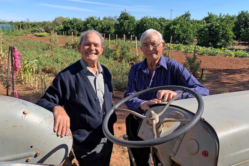 Two elderly gentlemen with their tractor on their fruit and vegie block