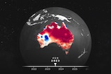 A globe centred on Australia showing rainfall anomaly patterns, mostly red to indicate dryness. A date indicates August 2023