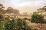 A dust storm at a farm.