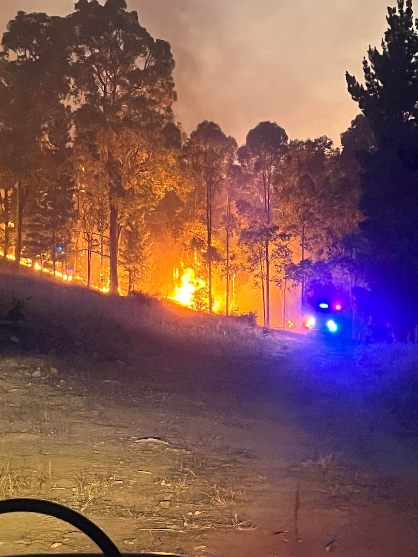 Flames burn trees with the lights of emergency services vehicles also visible. 